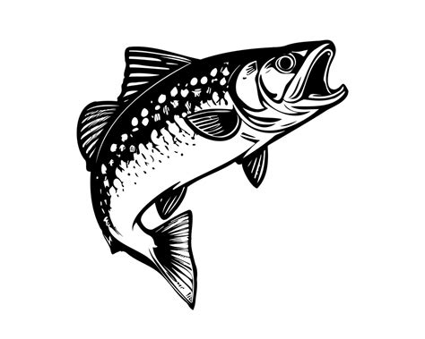 6 Trout Fish Clipart, Trout Fish Clipart PNG, Fishing, .